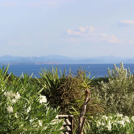 Mini Palombaggia - Piscine Chauffee * Porto-Vecchio (Corsica)