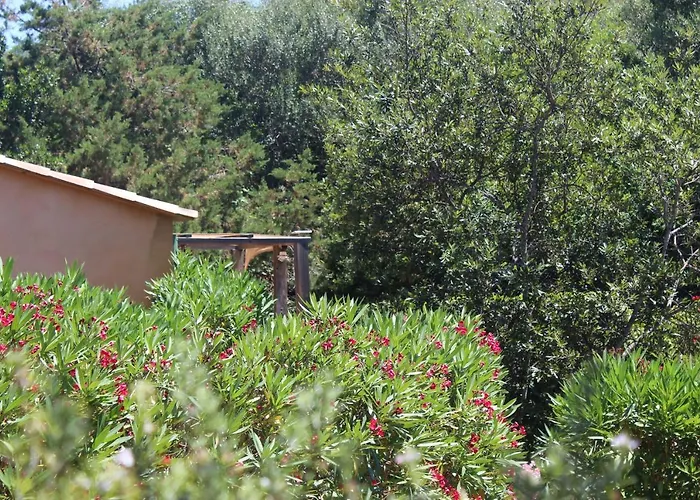 Prázdninový dům Mini Palombaggia - Piscine Chauffee *
